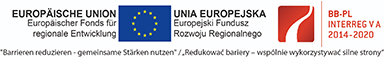 interreg logo optimal size