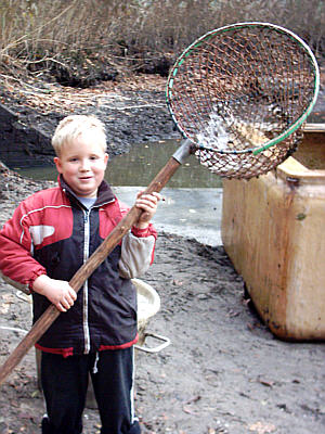 Beim Abfischen der Teiche